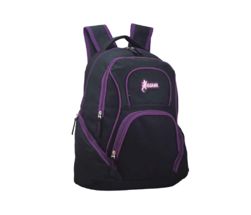 MOCHILA 17" IGUANA - Imagen 2