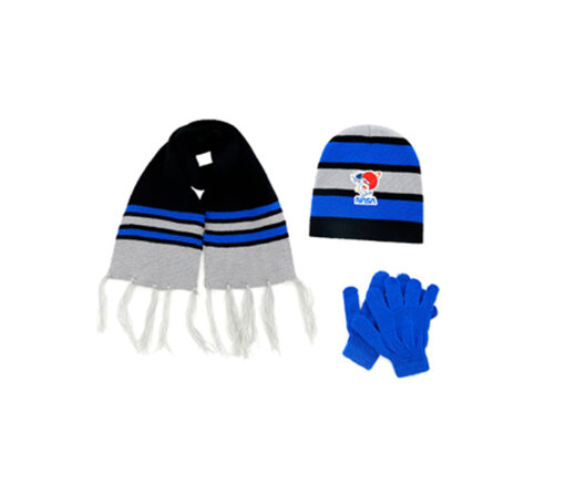 SET DE INVIERNO - NASA