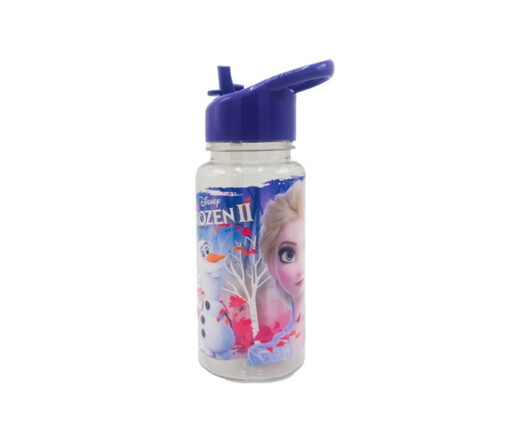BOTELLA 500 ML - FROZEN